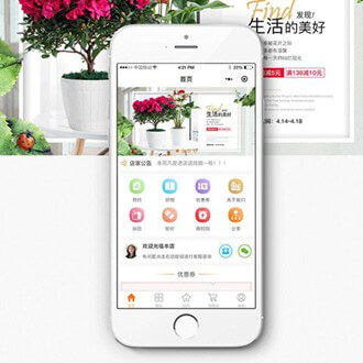 河东门店微商城小程序开发