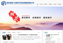 河东城市开发投资集团有限公司