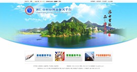 河东科技创新服务平台