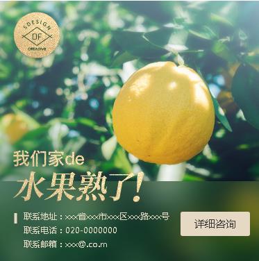 河东果园果林小程序开发